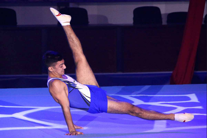 Евгений Подгорный спортивная гимнастика