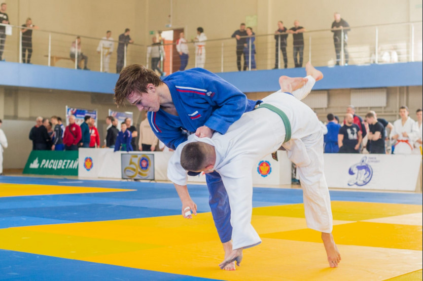 Динамо виды спорта